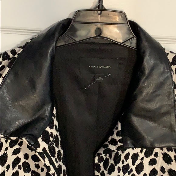 Spring jacket - Picture 2 of 4